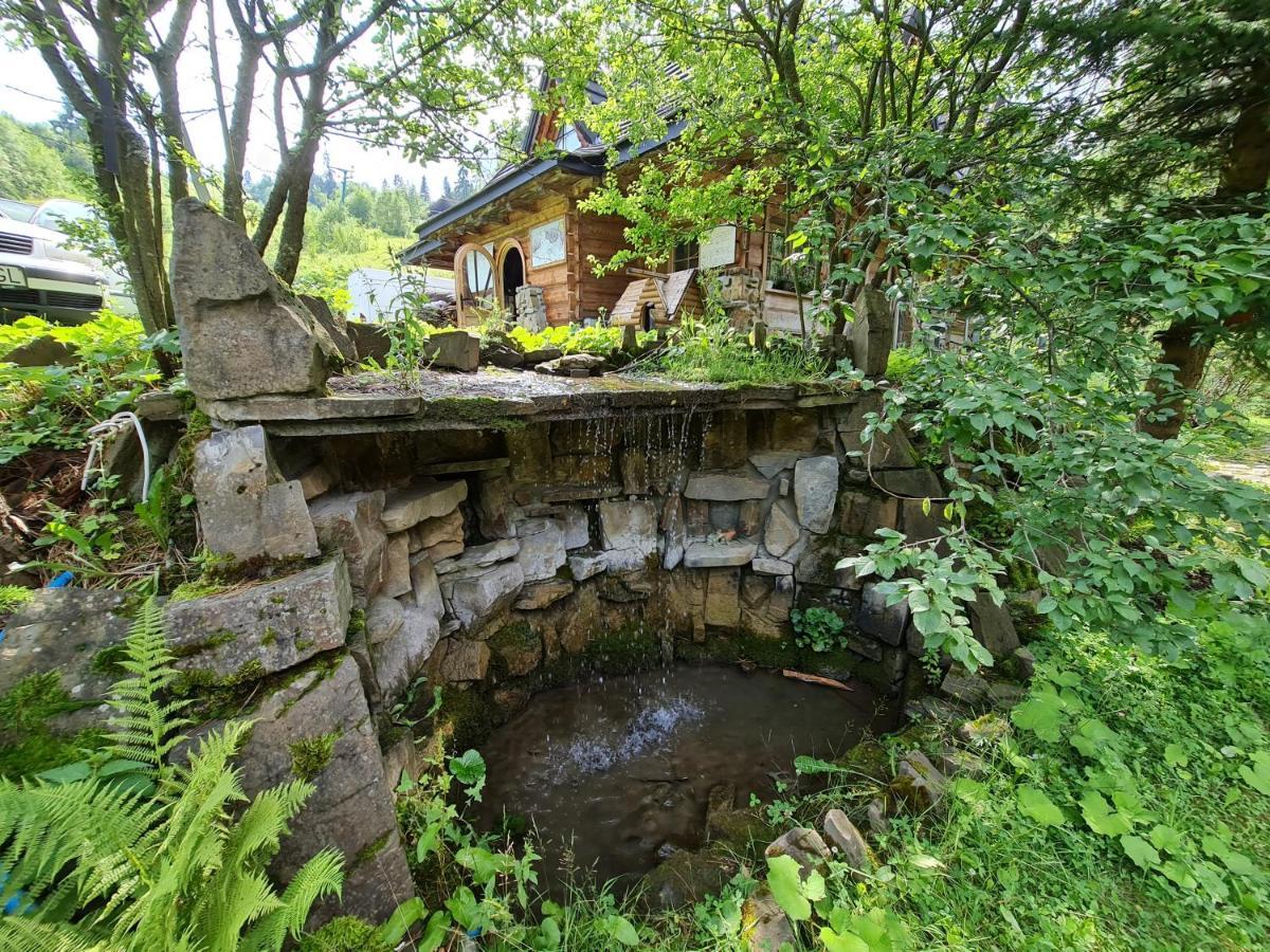 Gliczarowski U Zboja Бялы-Дунаец Экстерьер фото
